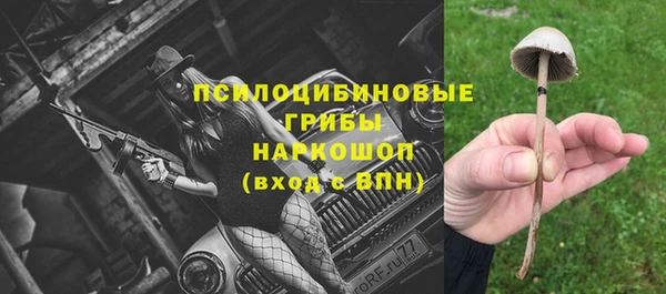 винт Абаза