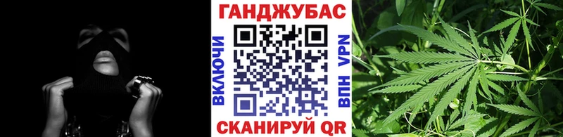 Бошки марихуана сатива  где продают наркотики  Новоалтайск 